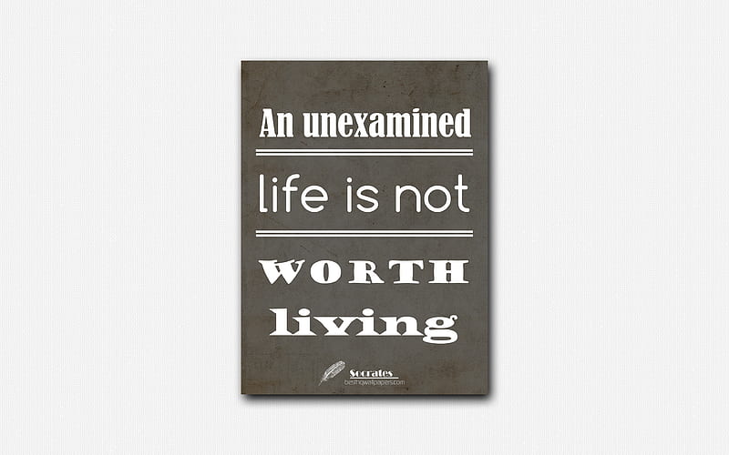 unexamined life quote