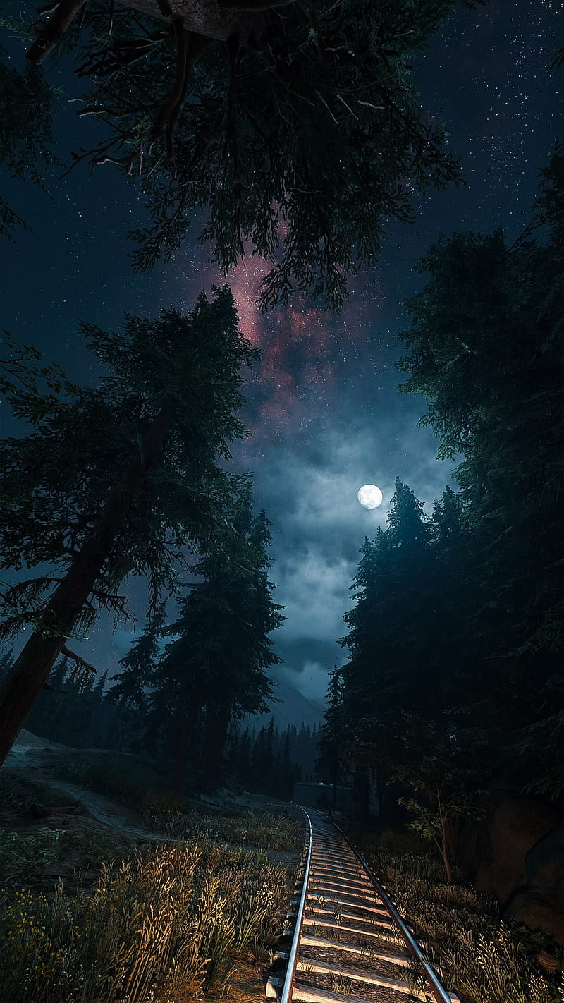 Daysgone, days gone, galaxy, nature, night, playstation, ps4, scenery, sky, stars, videogame, HD phone wallpaper