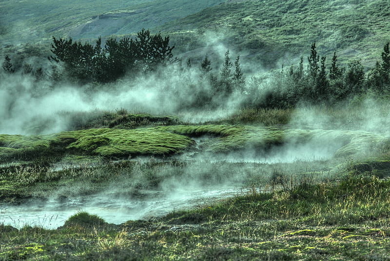 bushes, hills, fog, grass, HD wallpaper