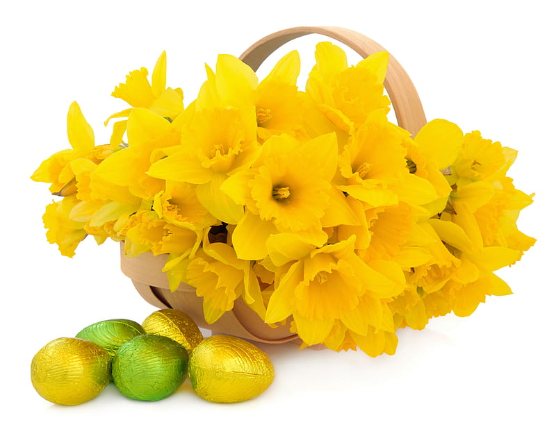 Flowers Basket, Easter, green, basket, chocolate, eggs, narcissus, flowers, yellow, HD wallpaper