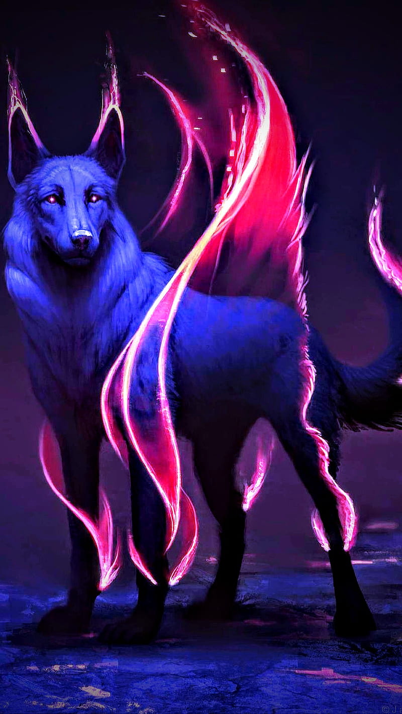 Neon wolf, neon, wolf, HD phone wallpaper