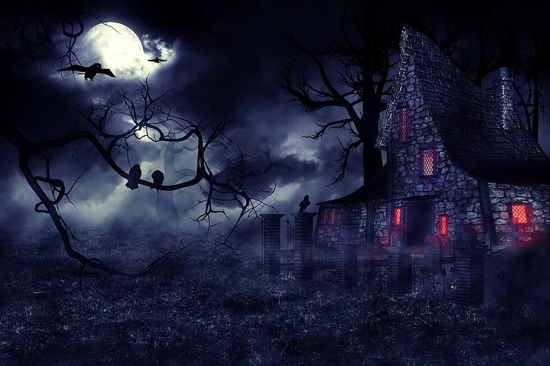{House of Nightmares}, creepy, fantasy, moon, house, gothic, dark, birds, trees, HD wallpaper