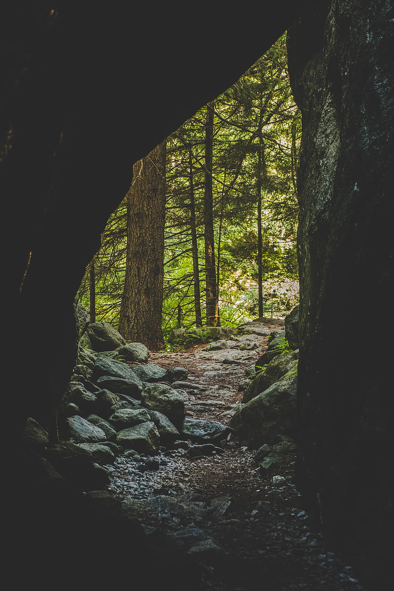 cave, forest, trees, stones, path, HD phone wallpaper