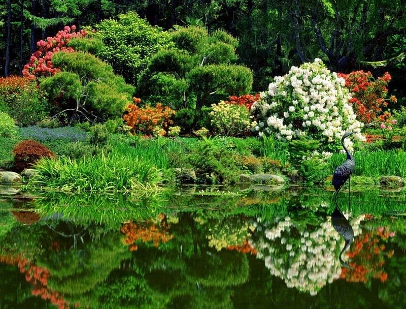 Garden Pond, pond, bird statue, flowers, garden, refelction, trees, HD wallpaper