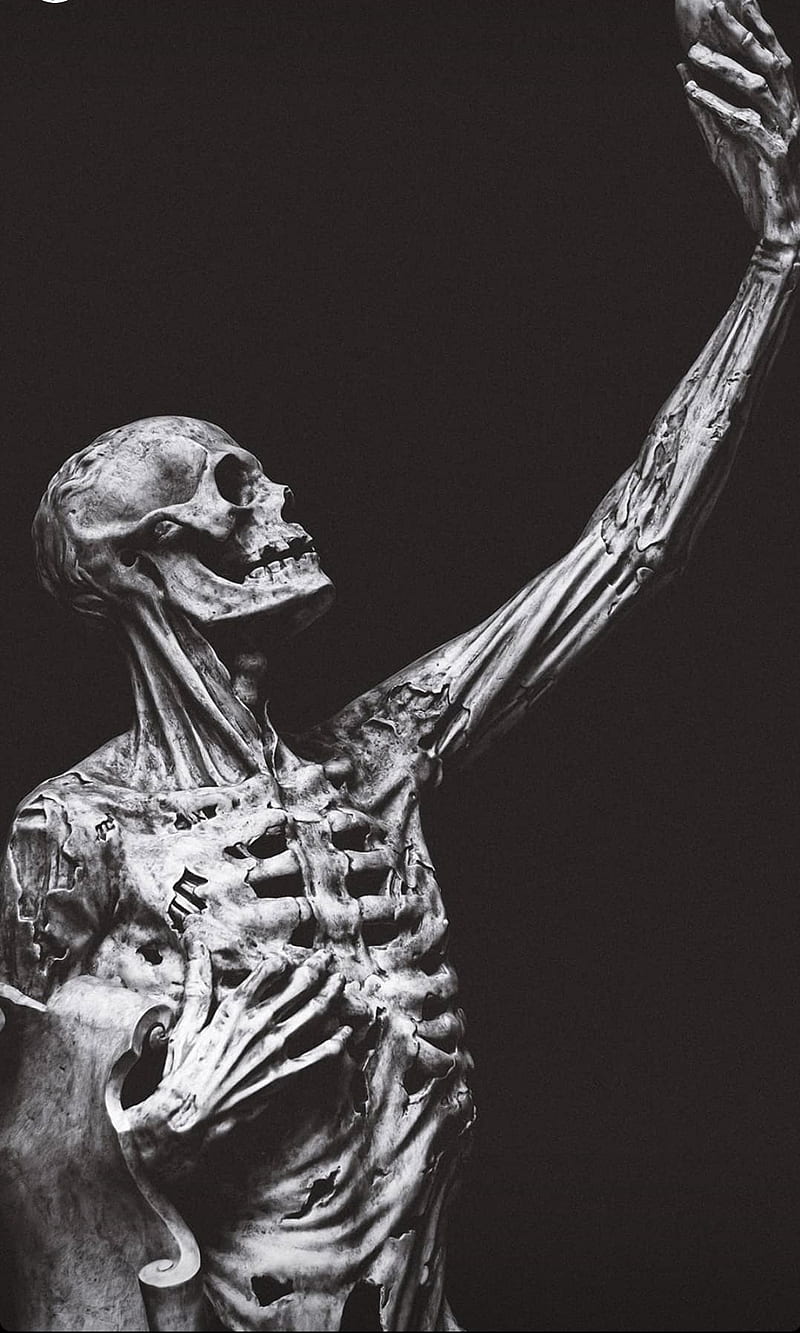 Skelton, anatomy, black, bones, me, medecine, selfie, HD phone wallpaper |  Peakpx