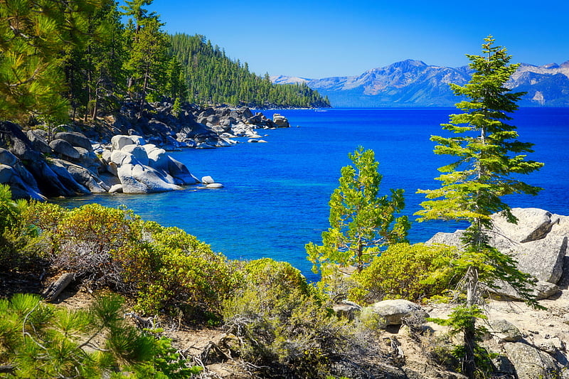 Shoreline of lake Tahoe, shoreline, bonito, trees, lake, mountain, Tahoe, summer, landscape, coast, HD wallpaper