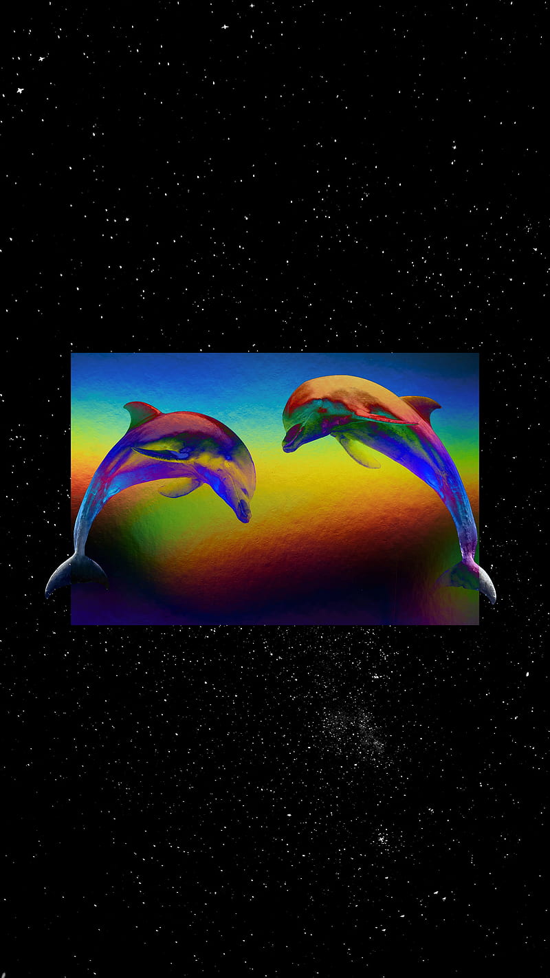 dolphin nebula tumblr