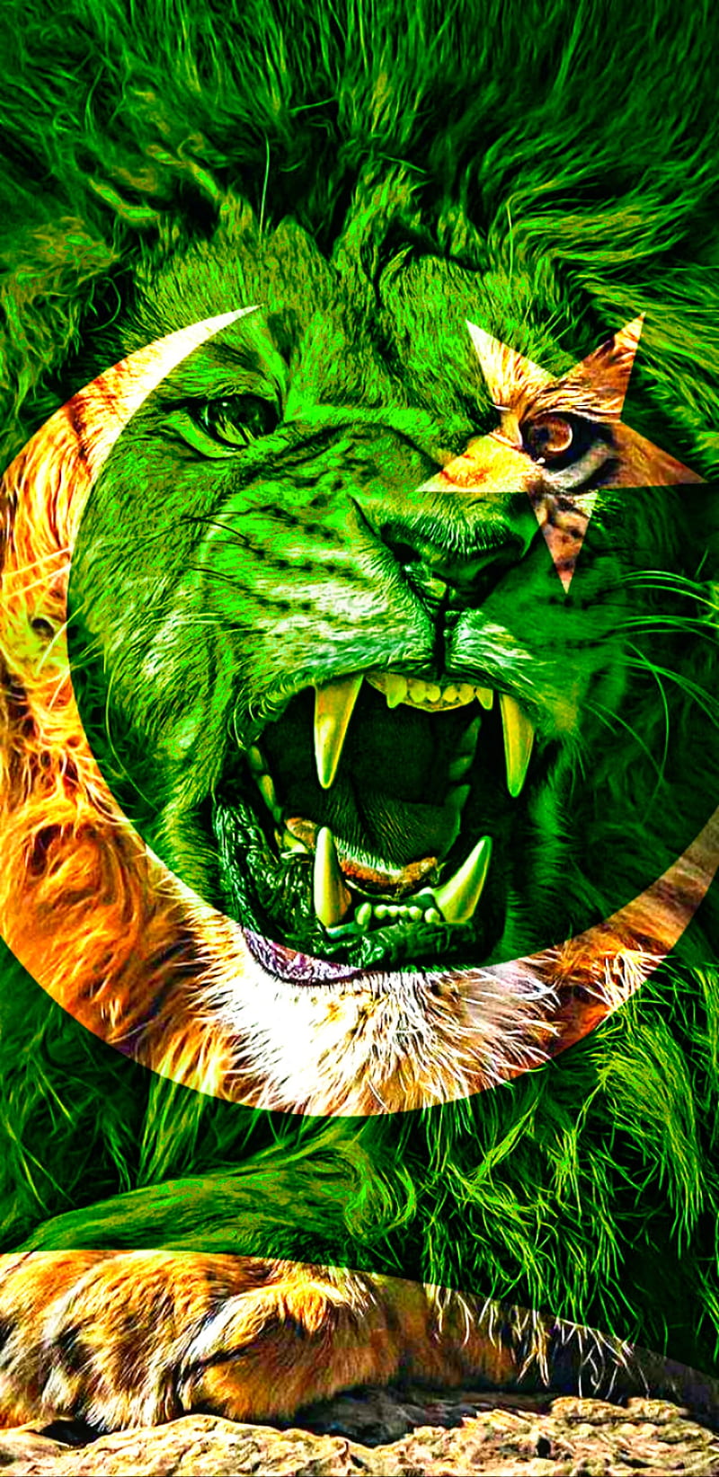 Pakistan flag king 2, 14 agate, 2020, eyes, flagking, lion, pakistan, pakistanfalgking, tiger, tigers, white, HD phone wallpaper