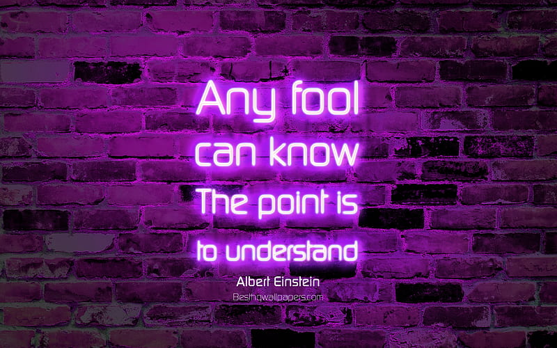 Any fool can know The point is to understand violet brick wall, Albert Einstein Quotes, neon text, inspiration, Albert Einstein, quotes about understanding, HD wallpaper
