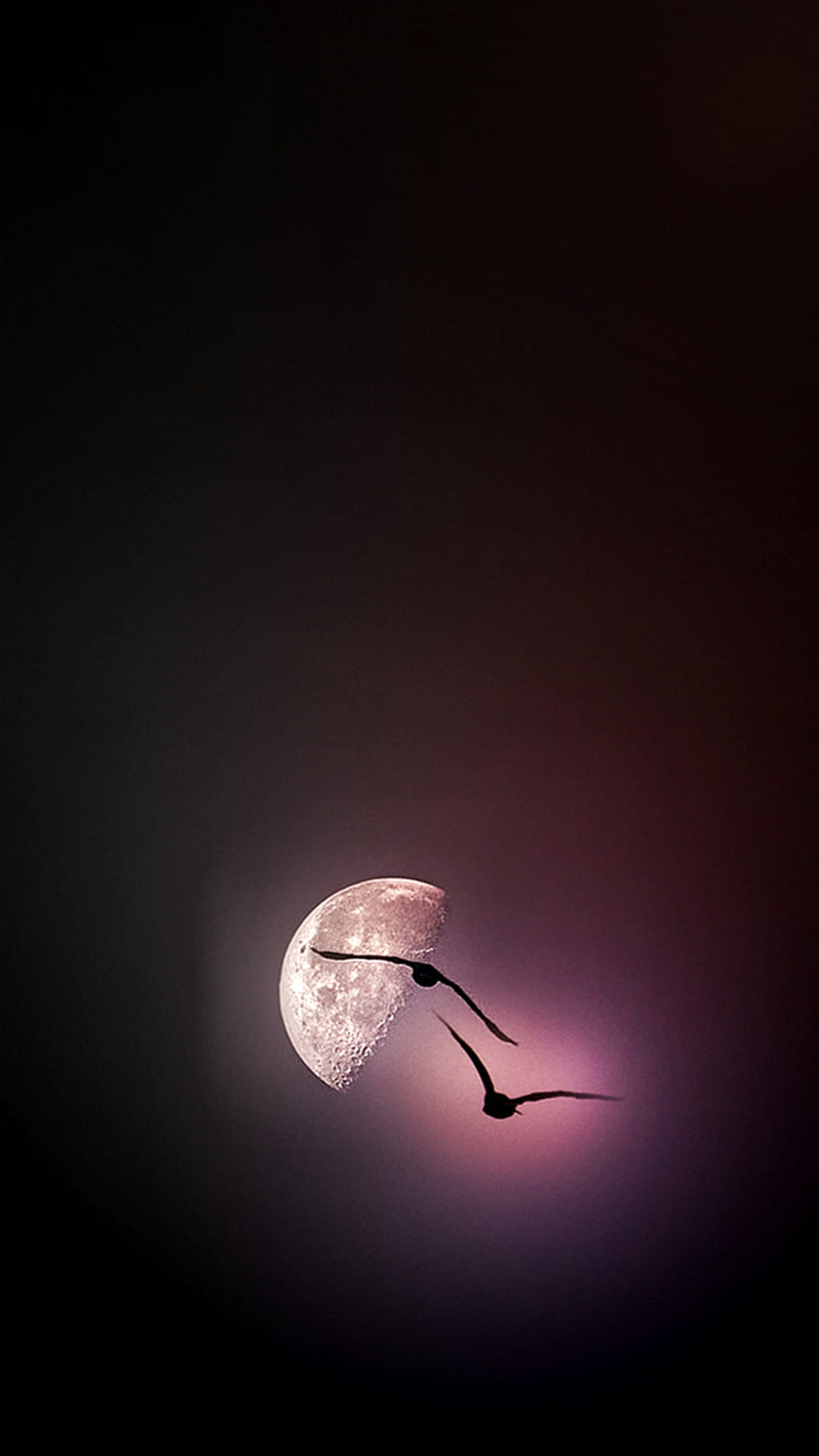 Moonlight, breathtaking, purple, HD phone wallpaper