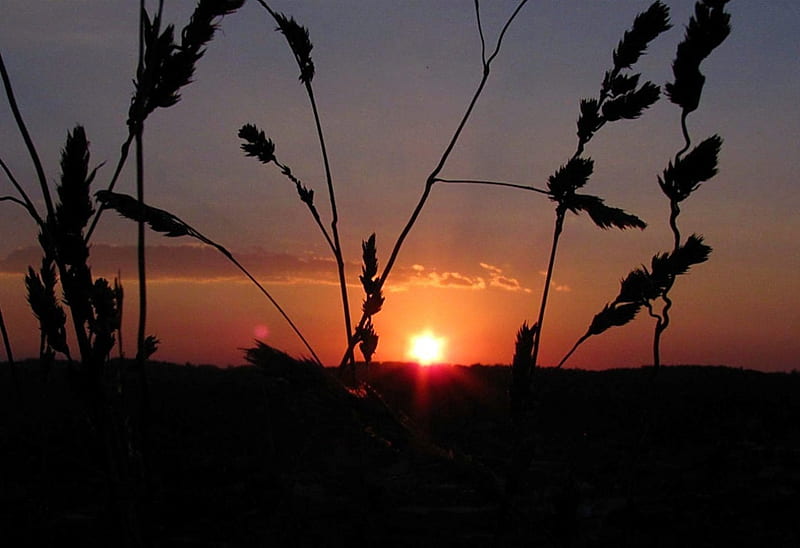 October Sunset Color, fall, sun, nature, sunset, sky, october, valley ...