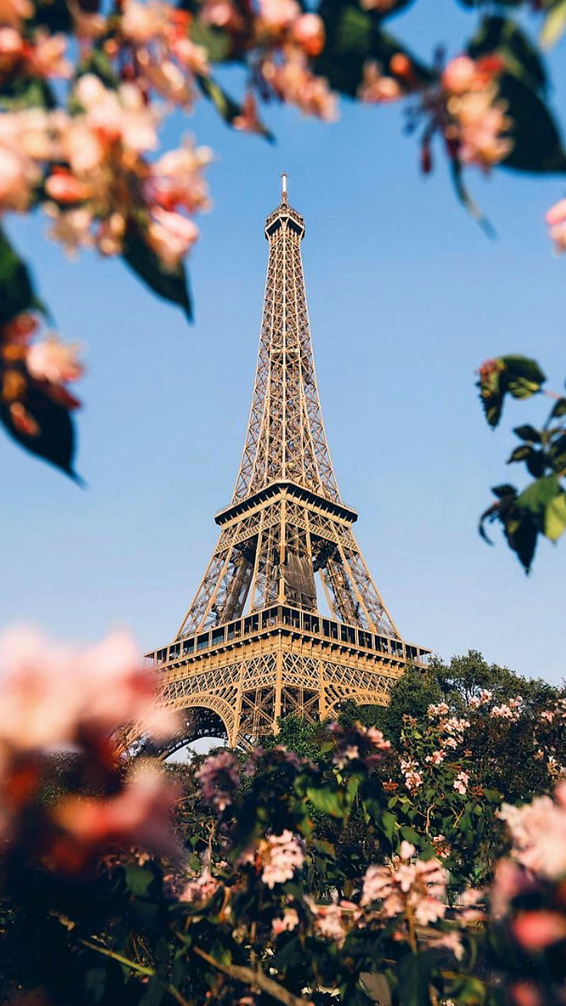 Paris, eiffel, flowers, france, tower, HD phone wallpaper
