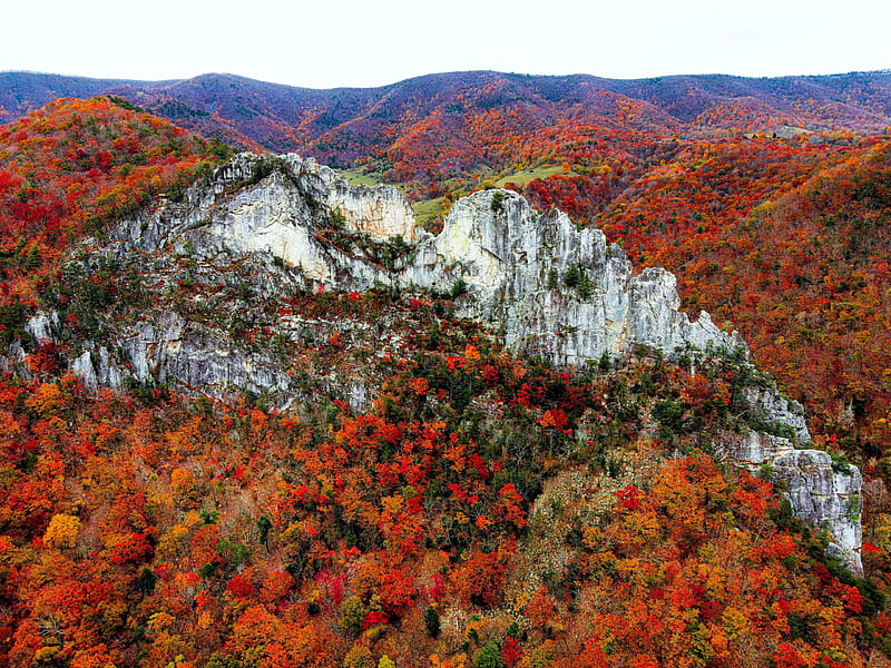 Seneca Rocks, West Virginia, colors, forest, autumn, trees, landscape, HD wallpaper