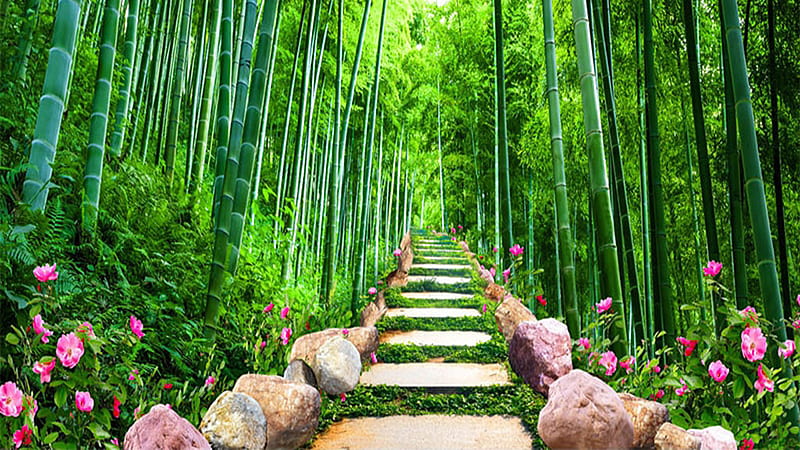 Flipkart SmartBuy 600 cm Wall Stickers Wallpaper Green Lucky Bamboo Forest  with Leaves Self Adhesive Home Office Self Adhesive Sticker Price in India  - Buy Flipkart SmartBuy 600 cm Wall Stickers Wallpaper