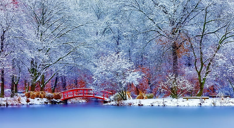 Winter, bridge, svetik777, peisaj, blue, iarna, red, lake, tree, ice, white, HD wallpaper