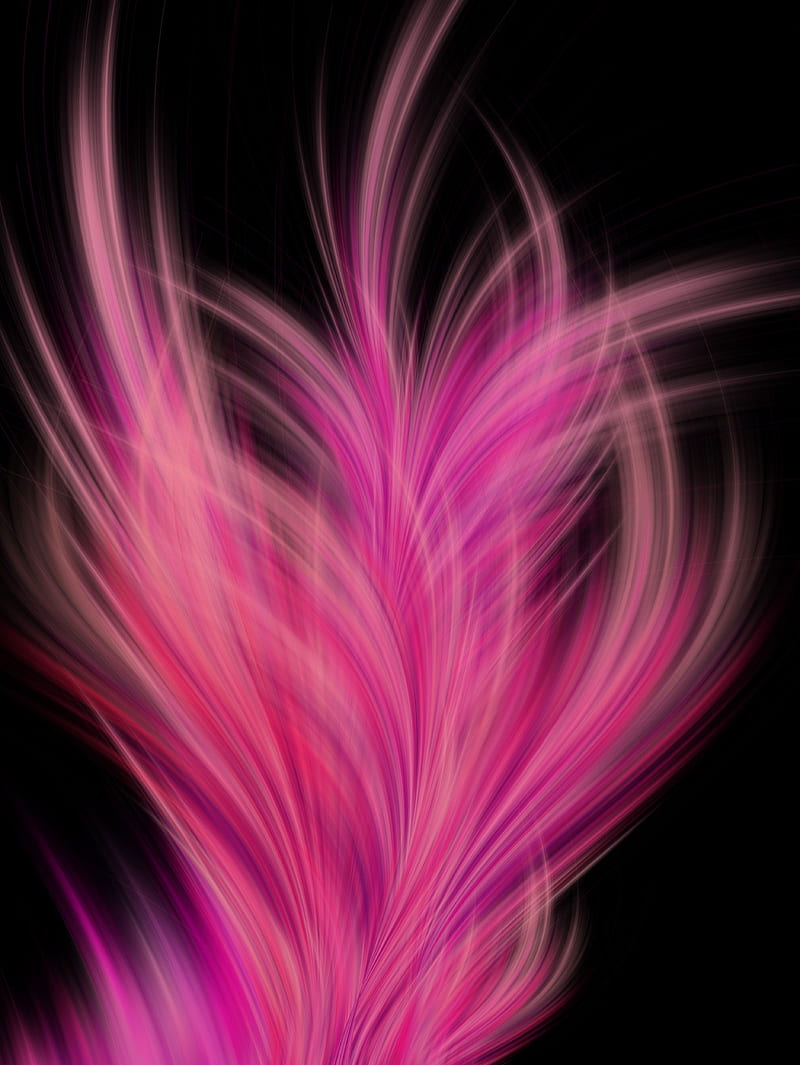 pink feather background