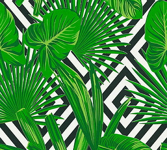 HD palm leaves wallpapers | Peakpx