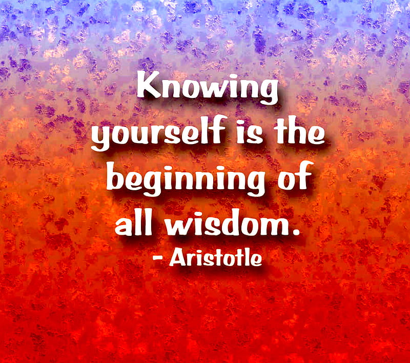 Knowing Yourself, aristotle, wisdom, HD wallpaper