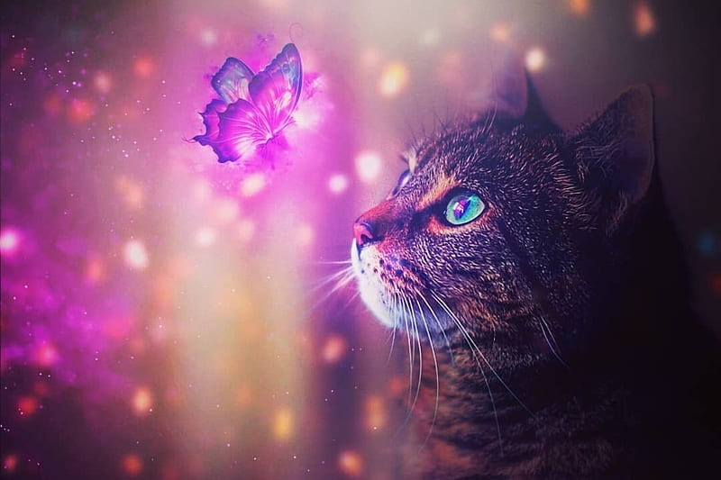Alien cat, fantasy, luminos, purple, minea juntura, alien, cat, pisici ...