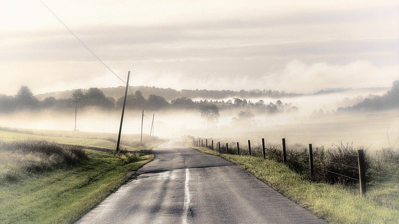 road in the countryside covered in fog, fence, fields, road, posts, fog, HD wallpaper