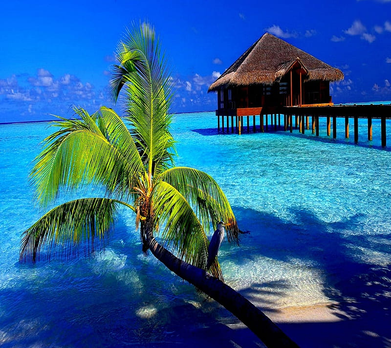 Paradise, HD wallpaper | Peakpx