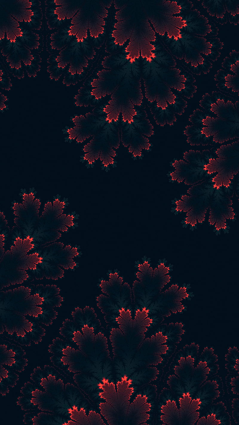 Flower gradient abstract , dark, background, HD phone wallpaper