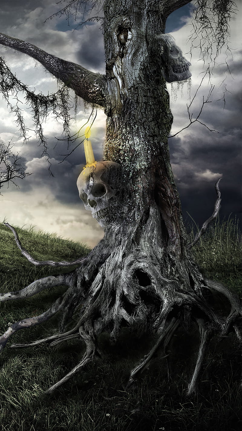 Skull tree, candle, halloween, horror, scary, skulls, tree, HD phone wallpaper
