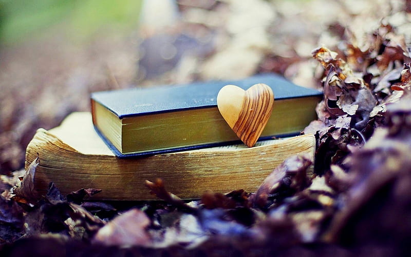 Autumn , autumn, two books, books, book, old, leaves, love, heart, old books, wood, HD wallpaper