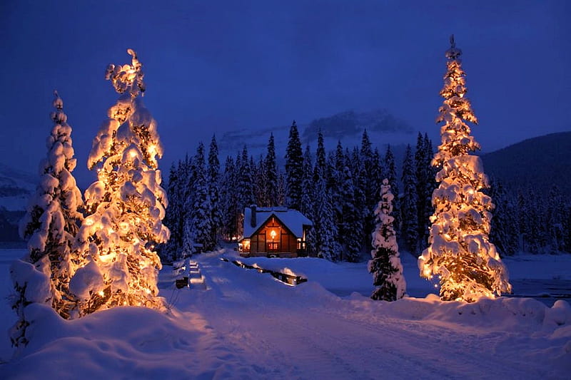 Canadian Rocky Mountain Resort, cabin, christmas trees, trees, snow, lights, HD wallpaper