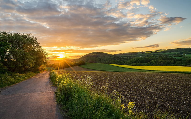 Road in Germany, rural, sunbeams, sunset, fields, road, Germany, clouds, landscape, HD wallpaper