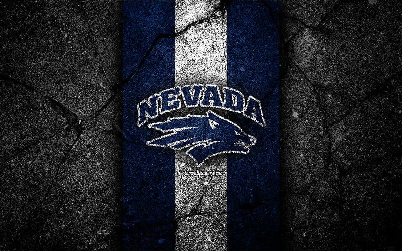 Nevada Wolf Pack american football team, NCAA, blue white stone, USA, asphalt texture, american football, Nevada Wolf Pack logo, HD wallpaper