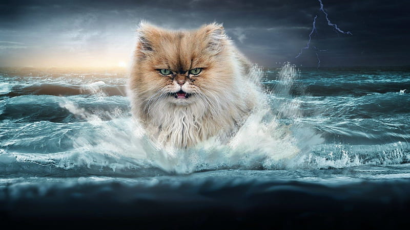 Cat artwork, art, waves, cat, sea, HD wallpaper