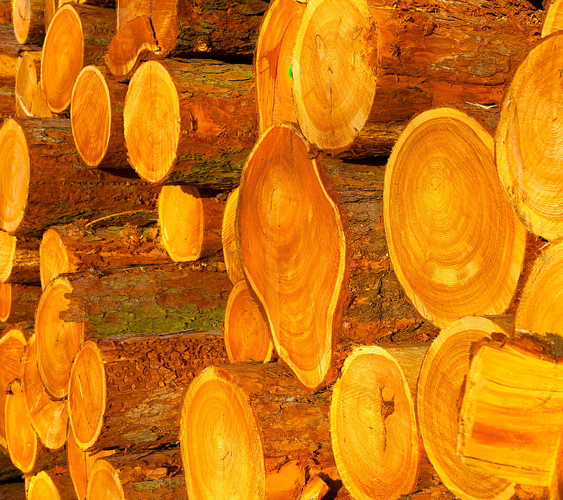 Wooden, log, wood, HD wallpaper