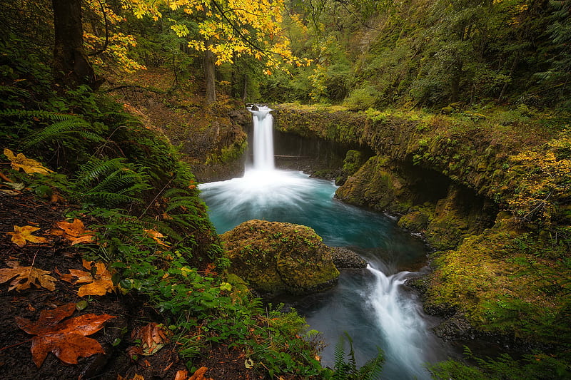 Beautiful Waterfall in Washington State, waterfall, leaves, usa, natue, HD wallpaper