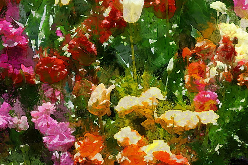 Colourful Flowers, Queensland, editing software, painting, flowers, DAP  SOFTWARE, HD wallpaper | Peakpx