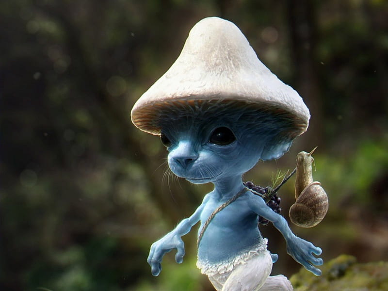 Cat - mushroom - Gollum, forest, tree, mushroom, gollum, cat, blue, HD  wallpaper | Peakpx