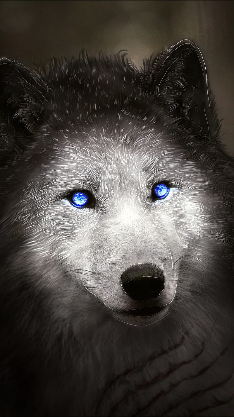 Wolf, animal, blue eyes, drawings, face, HD phone wallpaper