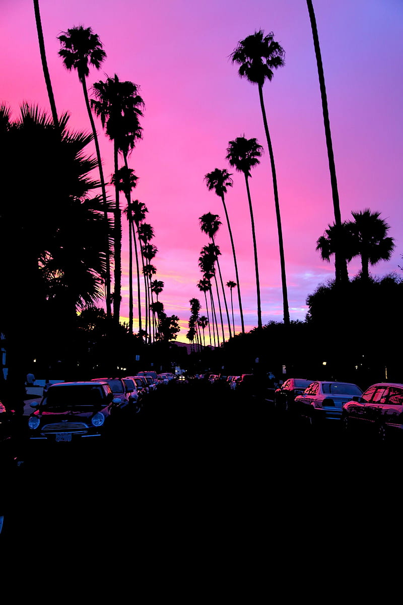 sunset, palm trees, road, car, California, dark, HD phone wallpaper