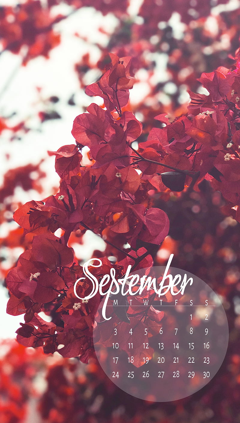 Blossoms Sep, cal, calendar, september, zcalsep18, HD phone wallpaper