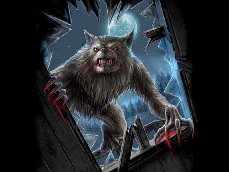 werewolf, fantasy, wolf, dark, HD wallpaper