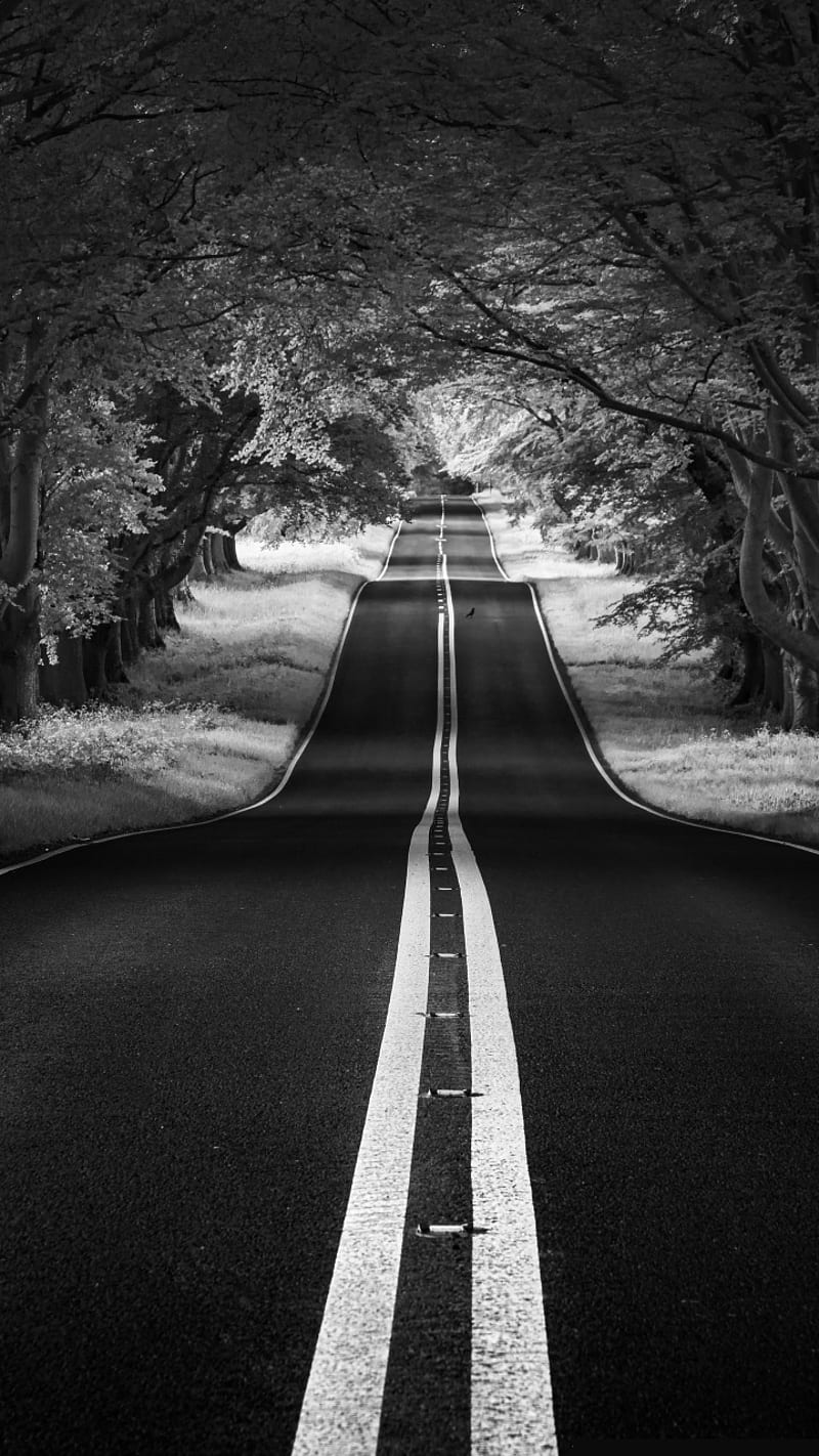 Road, aesthetic, black and white, landscape, nature, street, HD phone  wallpaper | Peakpx