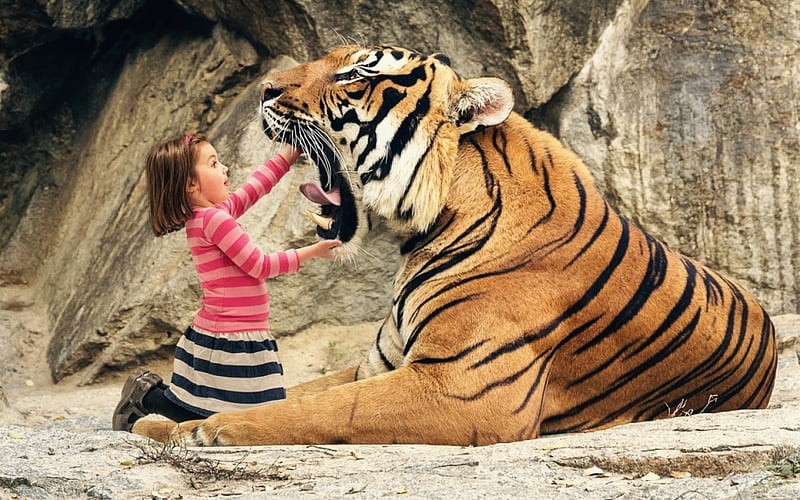 cute baby tiger face on human kid body on black background