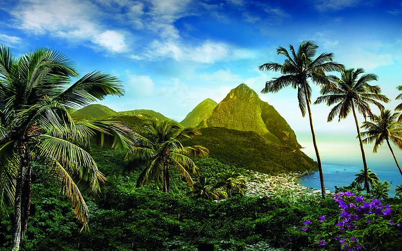 Mountain, Flower, Ocean, Tropical, , Saint Lucia, Caribbean, Palm Tree, HD wallpaper