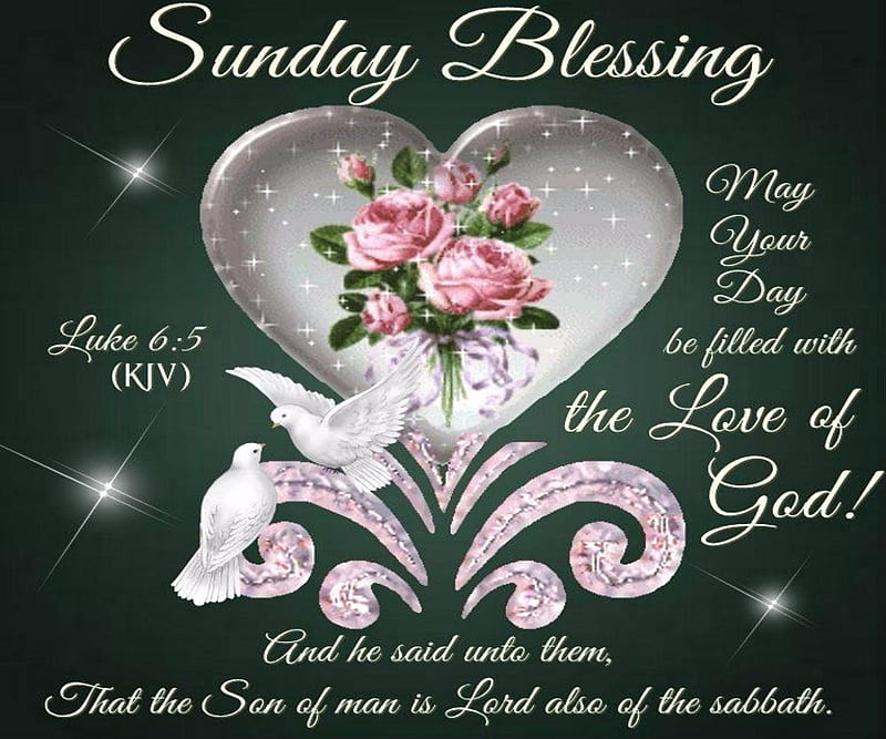 Sunday Blessing, Holy Spirit, Black, Sunday, Blessing, Dove, Nature, Jesus, Pink, PinkWhite, God, Heart, Flowers, Roses, Bird, HD wallpaper