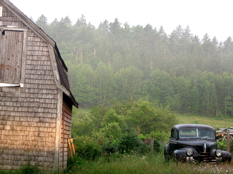 Old Barn/Old Car, farm, dawn, old car, sunrise, field, barn, mist, HD wallpaper