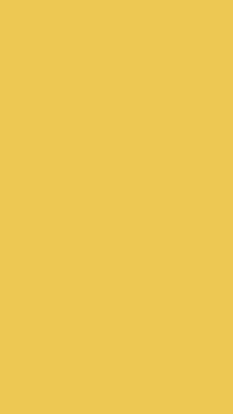 yellow, color, background, shade, HD phone wallpaper