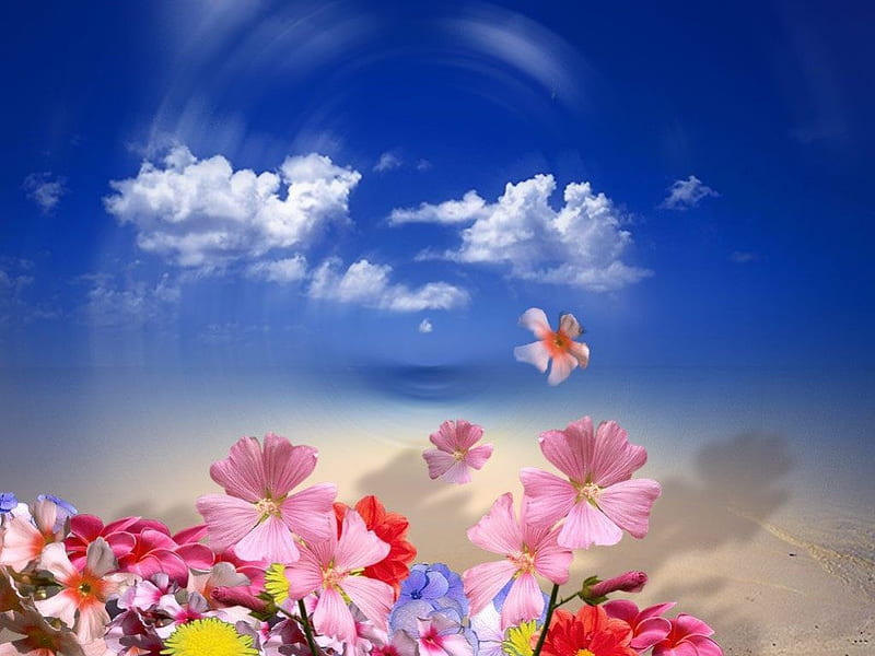 Flowers and sky, flowers, sky, HD wallpaper