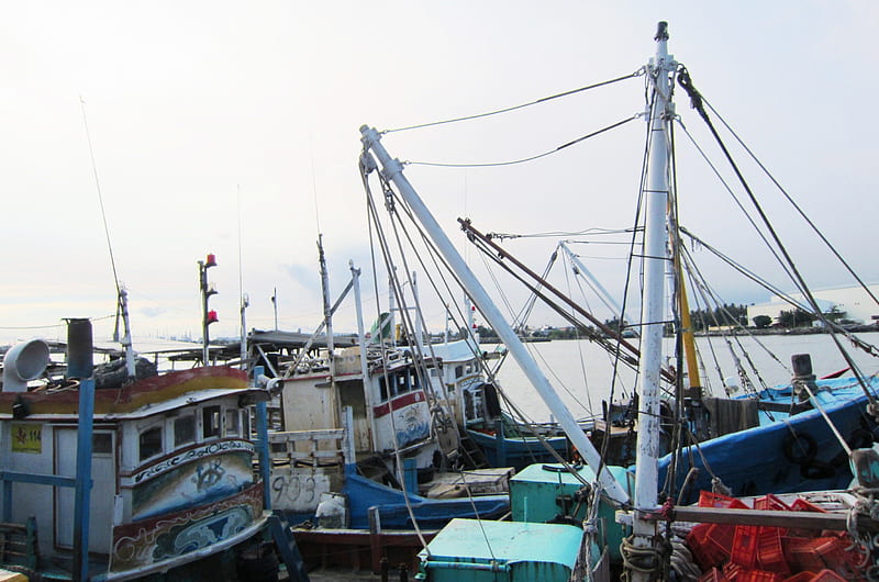 Fishing boats, fishing harbor, fish market, sea, HD wallpaper