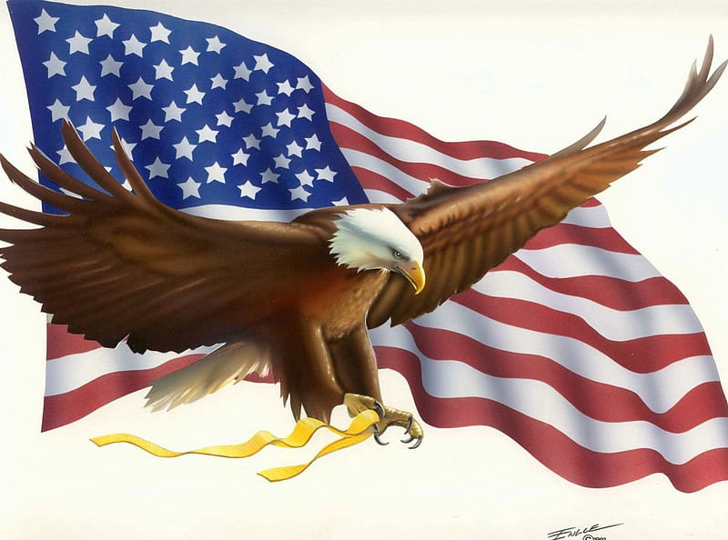 American flag with eagle, usa, independece day, eagle, america, flag, HD  wallpaper | Peakpx