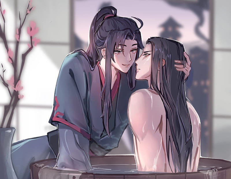 Mobile wallpaper: Anime, Lan Zhan, Wei Ying, Lan Wangji, Wei Wuxian, Mo Dao  Zu Shi, 1032368 download the picture for free.